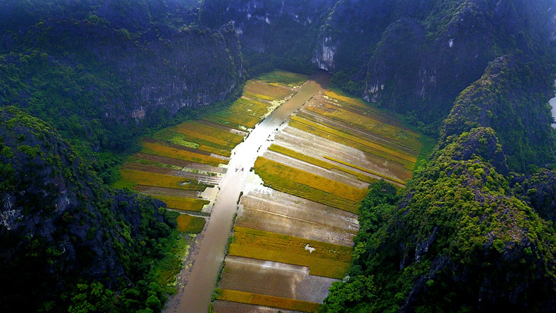 Tam Coc – rice fields- from Mua cave