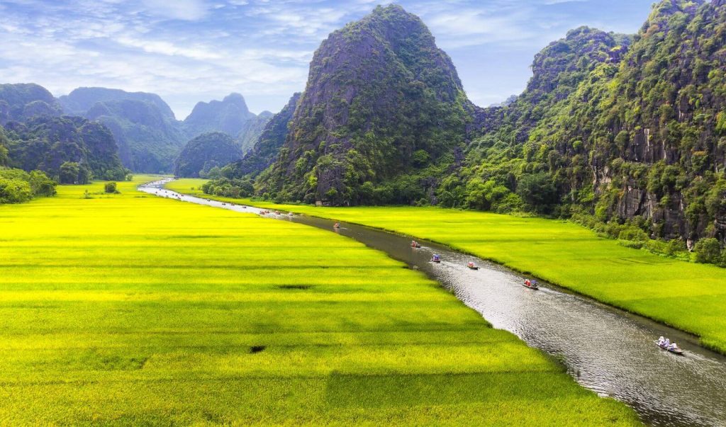 Rice field in Tam Coc – Ninh Binh(1) (1)