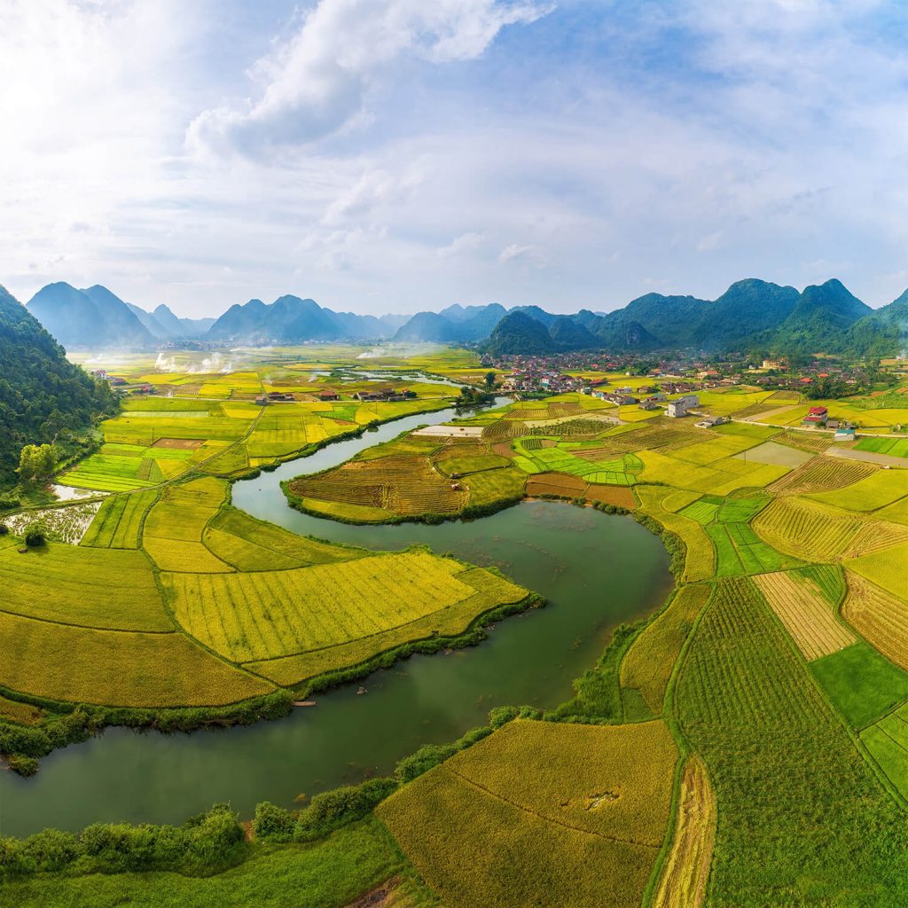 Rice fields in Bac Son valley2