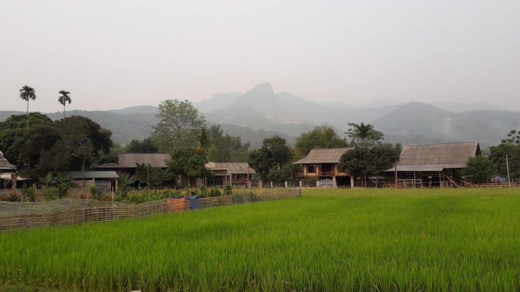 Muong Lo valley – Nghia Lo